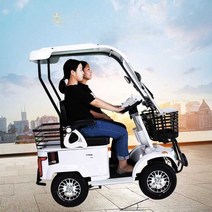 어르신전동차 다인승 전기 노인 삼륜오토바이, 2인용등산  60V 20A 리튬 배터리