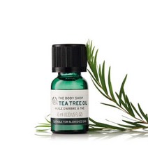 262313 더바디샵 티트리 오일 10ML 18400 트러블 스팟