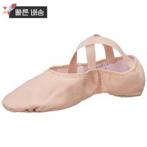 Bloch Dance 여성용 프로 아치 캔버스 및 메시 스플릿 솔 발레 슈즈슬리퍼 핑크 2.5 C US, 8.5 C US, 8.5 C US
