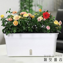 페잇풀리 자동급수화분 식물재배기, 5개