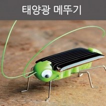 태양광 메뚜기 장난감 초등 방과후 과학 교재 수업 도구 탐구 창의 학습 실험