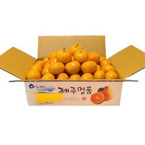 농장직송 고당도 제주감귤 황금향 가정용 선물용 3kg5kg10kg, 황금향 5kg 가정용