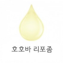 몰드몰 호호바 리포좀 비누만들기재료, 1L