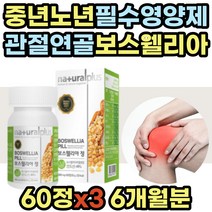 60대 부모님 선물 보스웰리아 글루코사민 마그네슘 보스웰릭산 파는곳 보수엘리아 boswellia 퇴행성 관절 연골 무릎 허리 어깨 무릅 손목 손가락 발가락 할머니 할아버지 추천
