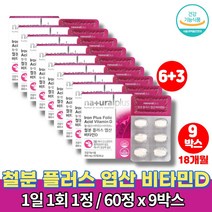 철분 엽산 비타민d 플러스 약국 성인 여자 임신후 임산부 임신전 산후 20대 30대 40대 50대 여성 철분제 영양제 철분제제, 9박스