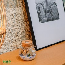 수경재배 반려식물 마리모 어항 LED항아리 선물세트, LDE항아리(오색사)
