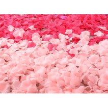 로맨틱 장미 꽃잎 데코레이션용 플라워 소품샵, 5. 매트레드