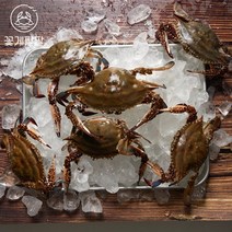 태안 신진도 당일조업 자연산 제철 꽃게 생물 꽃게 가을 꽃게 숫게, 2kg (6~10미), 1개