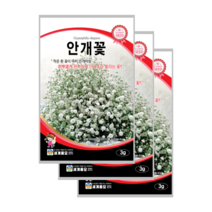 안개초 씨앗 3g 3봉안개꽃 baby breath common gypsophila, 3
