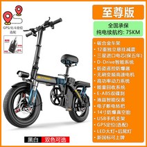 초경량 독일 전기자전거 접이 식출퇴근용 배달용 전동 팻바이크 폴딩 라이딩 바이크 장거리 로드, 48V, 20AH, 최고급형 - 75KM