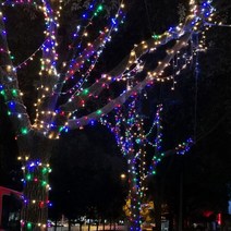 크리스마스 100구 투명선 LED 칼라 지니전구 10M 점멸, 단품