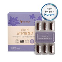 감마리놀렌산 보라지꽃 종자유 60캡슐, 1개, 60정