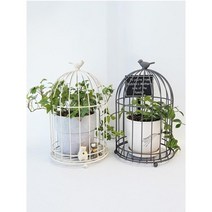 베란다 카페 가드닝 장식용 빈티지 새장 서재 공간 홈데코 책장 연출 소품 책상 엔틱, 아이보리