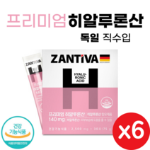 독일 직수입 프리미엄 히알루론산 30포 가루 분말 식약처 인증 피부 속건조 보습 영양제 피쉬콜라겐 Hyaluronic Acid, 6개