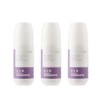 앤클루션 바르는 실리콘 곰팡이 제거젤 제거제 벽 벽지 화장실 욕실 창틀 창문 베란다, 3개