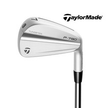 테일러메이드 P790