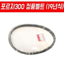 포르자300 FORZA300 윈도우스크린 SHC, 1개