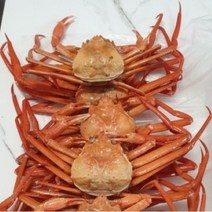 박달홍게 5kg 다리수율 80%이상 찜 당일발송 포항 구룡포 대게 자숙 수율보장, 박달홍게 프리미엄 수율보장 5kg, 1개