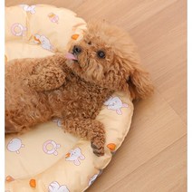 준몰 (당일출고) 반려동물 강아지아이스쿨매트 고양이아이스쿨매트, 소/중형견옐로(43cm)