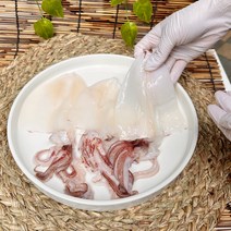 제주 한치 손질 냉동 한치회 물회 무침, 2팩, 500g