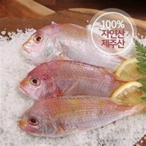 기타 제주 자연산 황돔 300g*13팩(팩당 3마리 포장) / 총 39마리, 3세트