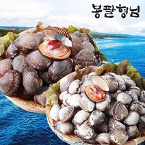 제철 피꼬막 (혼합) 3kg 남해 갯벌 피조개, 단품