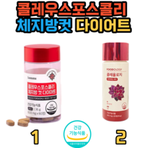 1.콜레우스포스콜리 체지방컷 다이어트 2.빨간통 다이어트 콜레올로지 푸드올로지 60정 여성 체지방관리 비타민B 복부지방 20대 30대 40대, 콜레우스포스콜리 체지방컷 다이어트 120정+알약케이스