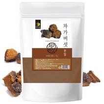 차가버섯 분말 1kg효능 백세 비타민하우스 상락수 시베리아시베리안 국내산 먹는방법