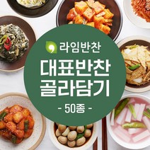 라임반찬 수제반찬 골라담기 나물 무침 볶음 장조림 샐러드, 44.명이나물장아찌, 1팩, 200g