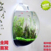 개운죽 아크릴 벽걸이 어항 부레옥잠 칼라테트라 쿠바펄 프로그비트 플래티 풍선몰리 자라풀 네온테트라 워터레터스, 아주 작다, 15cm그린-Z05