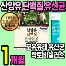 프리미엄 산양유 단백질 1통 모유유래 유산균 분말 가루 스틱 고함량 초유 유청 프로틴 보충제 락토바실러스 쉐이크 아침 간식 담백질 성장기 어린이 청소년 수험생 여성 남성 노인 추천, 1통(1개월)