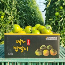 산지직송 대저 짭짤이토마토, 03) 프리미엄 짭짤이 2.5kg (S 사이즈)