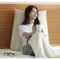 누아 삼각 등받이쿠션 방수 쇼파 허리 등쿠션, 기능성 진그레이