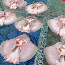 자연산 반건조 간재미 1kg 국내산 갱개미 가오리, 건조갱개미1kg (2~4미)