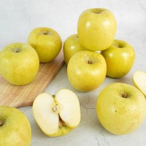 황금사과 시나노골드 가정용 5kg 29-33과