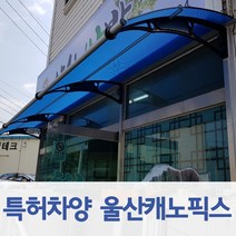 캐노픽스 1000x2000 학교 상가 사무실 출입구 연결통로 밴딩캐노피 시공전문, 그레이, 은백색(기본색상), 그린