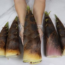 아삭아삭 부드러운 대나무의 어린순 생죽순 삶은죽순 1kg 5kg 10kg, 삶은죽순1kg