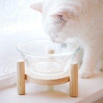 개밥주는아빠 개밥의도토리 - 삐리삐리ufo 반려동물식탁 밥그릇, 1개, 유리
