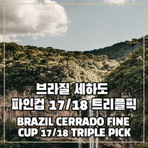 (커피생두) 81 브라질 세하도 파인컵 17/18 트리플픽 1kg, 1개