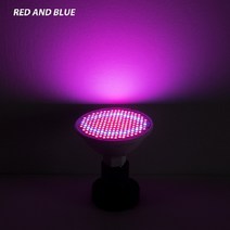 스마트팜 수경 재배기 채소 식물공장 gu5.3 fitolampy 램프 led, 빨간색과 파란색, e27 60leds 220v, 2년 보증