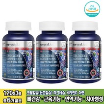 캐나다 코랄칼슘 앤 마그네슘 120정 3병 산호칼슘 마그네슘비타민d 글루콘산아연