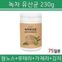 녹차유산균 녹차 유산균 프로바이오틱스 분말 람노스 유산균