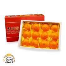 현가원 서귀포 천혜향 2kg (6-9과실중량)