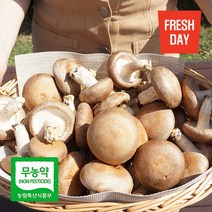고창 생 표고버섯 1kg, 1box, 로얄특상품 1kg