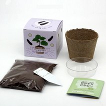 식물재배킷 가정용텃밭 가지 고추 채소 식물키우기 키트 인테리어 베란다 배양토 씨드볼 씨앗