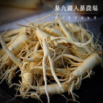 (삼그루) 세척파삼 5~6년근 바로먹는 수삼 금산인삼 세척인삼 세척수삼 굵은파삼, 선택2 세척파삼 500g