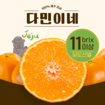 [다민이네]제주 서귀포 노지 조생 감귤 3kg 5kg (실중량 2.5kg 4.5kg), 1개, 5kg(소과S-2S)