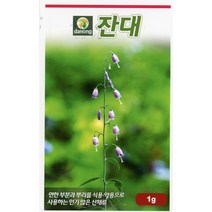 다농 잔대 씨앗 1g, 1개