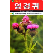 엉겅퀴100립 아람종묘 국내 자연산 채종 야생 엉겅퀴 재래종자