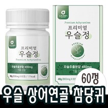 60정x1개 우슬복합물 닭발우슬 정 보스웰리아 초록입홍합 상어연골 우슬정 +알약케이스 참당귀 어골칼슘 추출물 조인트